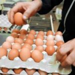 النائب وفاء الطائي نُبــارك لمنتســبي قواتنــا الأمنيــة كافــة إلغاء قرار حجب البطاقة التموينية عنهم